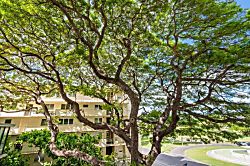 Diamond Head Beach Hotel Studio 404