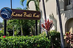 Kona Bali Kai 314