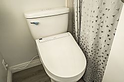 Island Colony IC3711