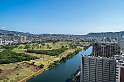 Island Colony IC3711