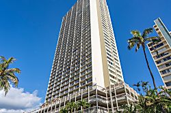 Island Colony IC3711