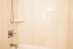 Island Colony IC3711