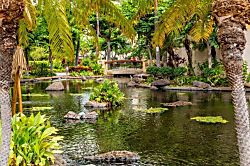 Marriott's Ko Olina Beach Club Studio