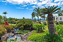 Palms at Wailea 801