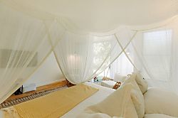 Turtle Bay SEArider TWO