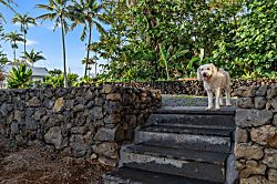 Hana Bay Oceanfront Cottage