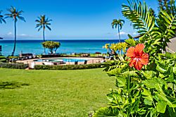 Polynesian Shores 202