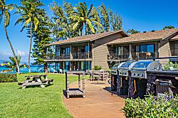 Polynesian Shores 202