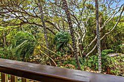 Waikomo Stream Villas 530