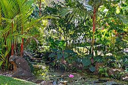 Waikomo Stream Villas 530