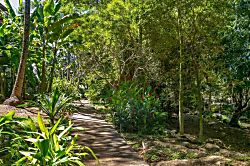 Waikomo Stream Villas 530