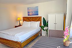 Hawaiian Monarch 16th Floor Studio Condo