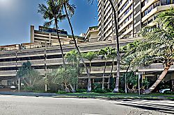 Hawaiian Monarch Studio 808