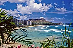 Hawaiian Monarch Studio 808