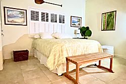 Kohala Coast Oceanview Condo 2BR
