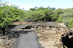 Palm Villas at Mauna Lani Resort F-2