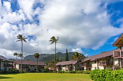 Hanalei Colony Resort H4 - Hanalei Colony Resort grounds - Hanalei Colony Resort grounds