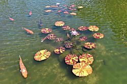 Papakea Resort 2Bdrm