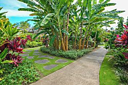 Islander on the Beach 241