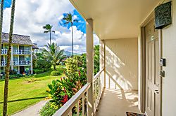 Islander on the Beach 241