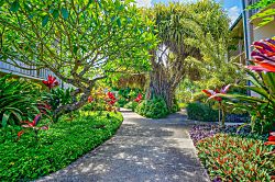 Islander on the Beach 241