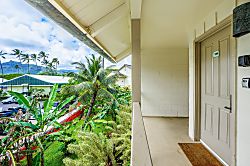 Islander on the Beach 359