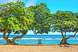 Islander on the Beach 225