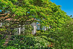 Kiahuna Plantation 222