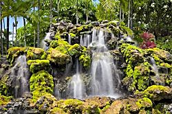 Wailea Grand Champions 21B Studio