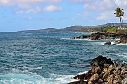 Garden Oasis Condo 4104