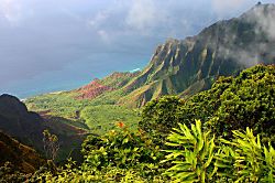 Garden Oasis Condo 4104
