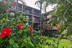 Maui Vista 2413
