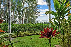 Sandpiper 1 Bedroom King Unit