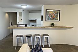 Honolulu Urban Oasis 1BR Apartment