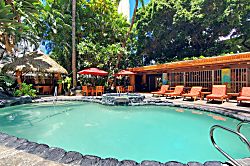 Waikiki 1 Bedroom Condo with Pool