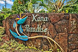 Kona Dreams
