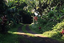 Ho'okipa Surf Suite Studio
