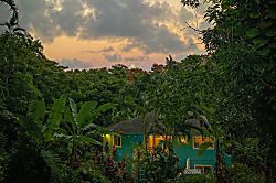 Ho'okipa Surf Suite Studio
