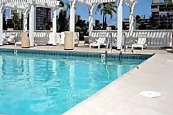 Hawaiian Monarch Cozy Studio