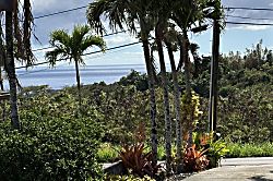 Bamboo for Two Cottage