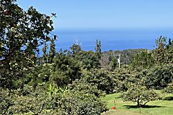 Dragonfly Healing Farm