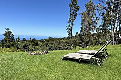 Dragonfly Healing Farm