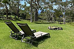 Dragonfly Healing Farm