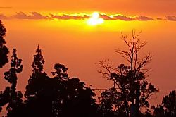 Dragonfly Healing Farm