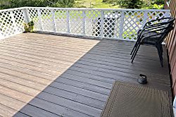 Dragonfly Healing Farm