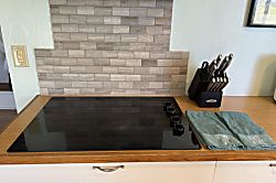 Dragonfly Healing Farm