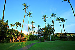 Maui Sands Condo