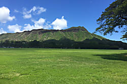 Diamond Head Beach Hotel 1104