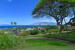 Wailea Ekolu #804