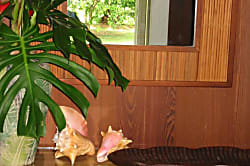 Plumeria Cottage